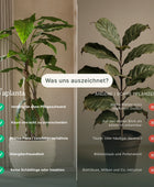 Ficus artificiel - Kathleen | 210 cm