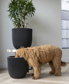 Blumentopf Kugel Groove schwarz | 43x41 cm