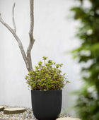 Blumentopf Kugel Groove schwarz | 43x41 cm