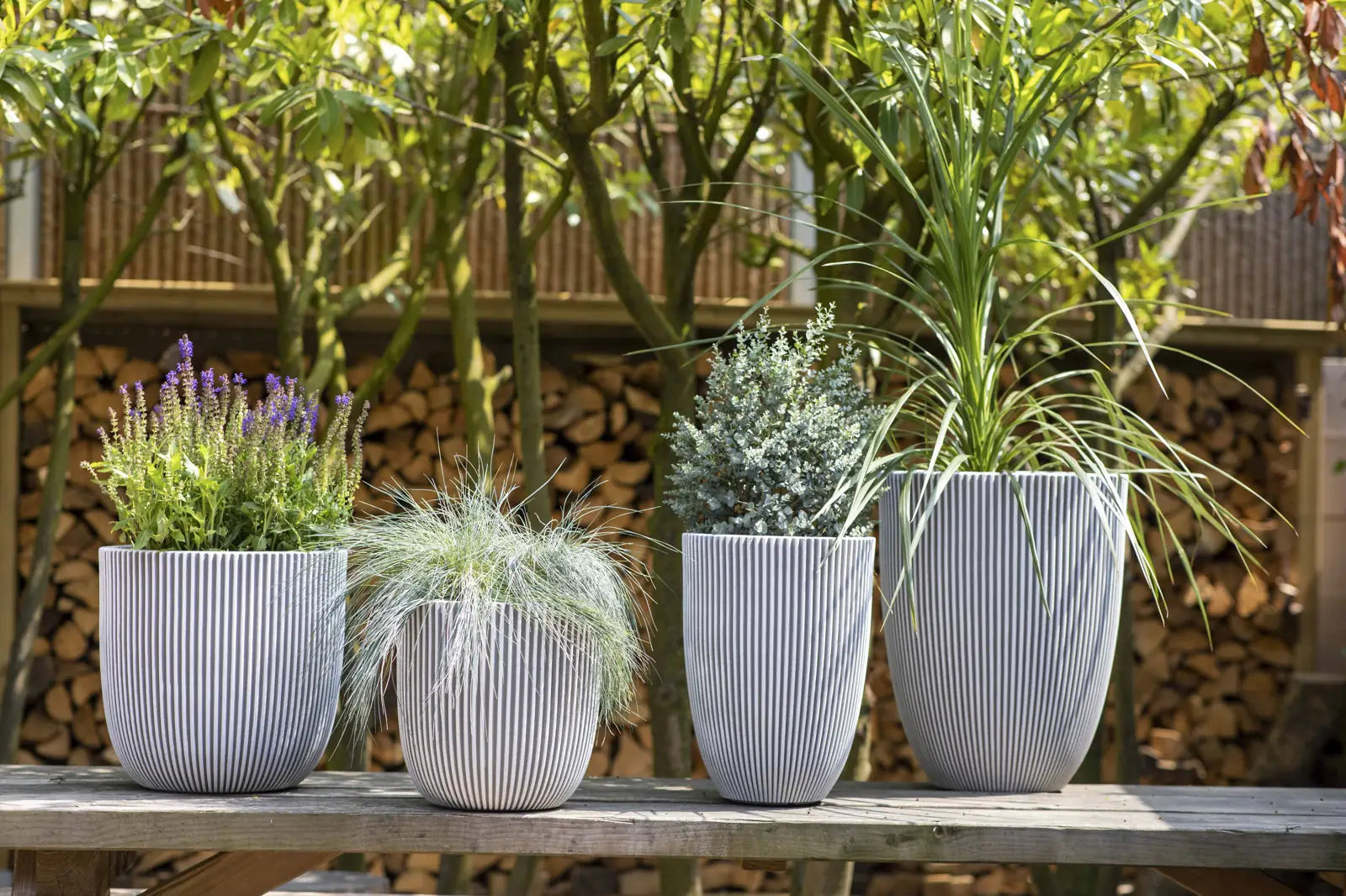 Pflanztopf elegant niedrig Groove elfenbein, 34x46cm, Pflanzkübel von aplanta, für drinnen & draußen