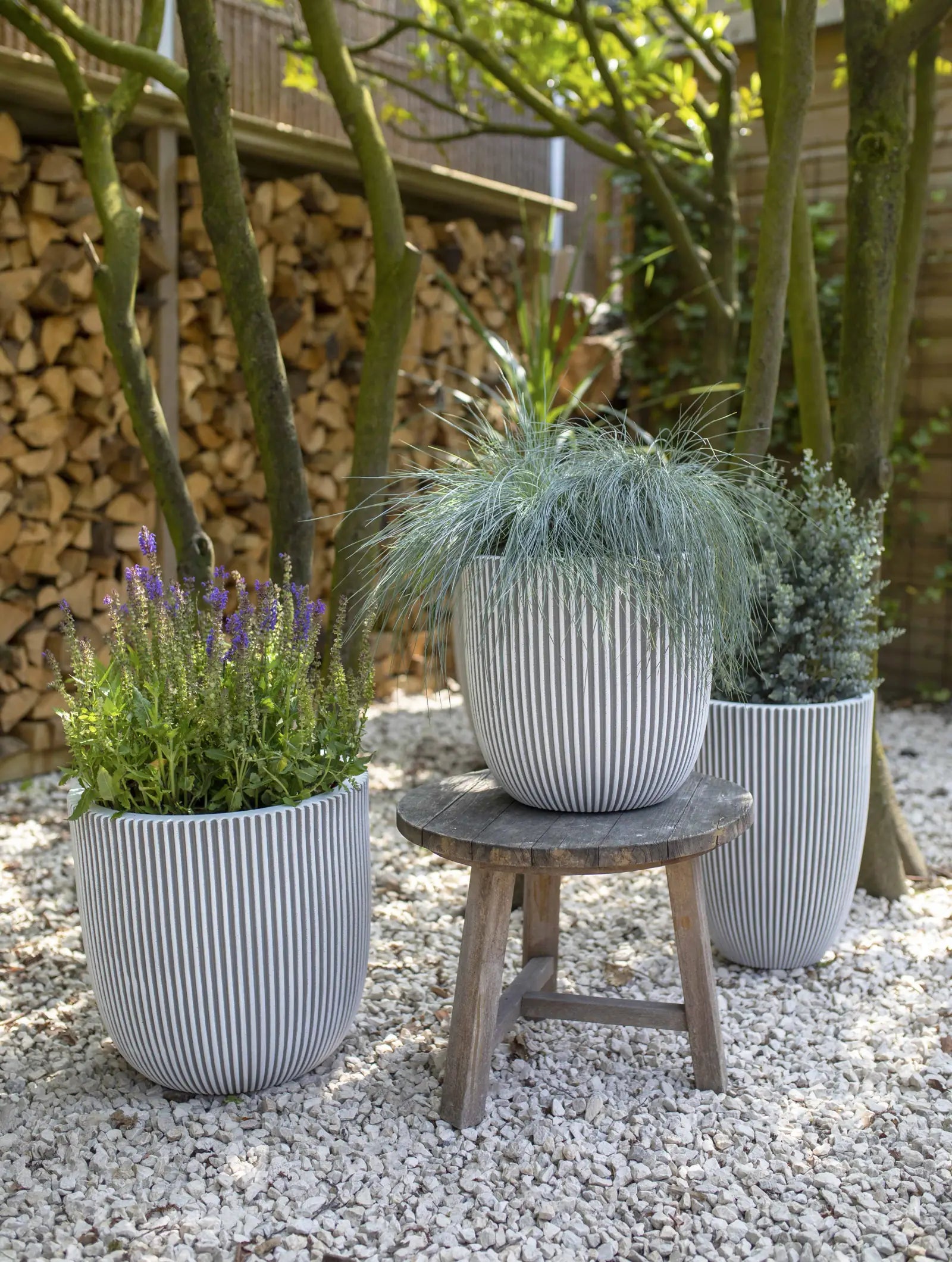 Pflanztopf elegant niedrig Groove elfenbein, 34x46cm, Pflanzkübel von aplanta, für drinnen & draußen