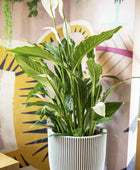 Blumentopf Kugel Groove elfenbein | 35x34 cm