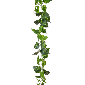 Guirlande de pothos artificiels - Christian | 220 cm