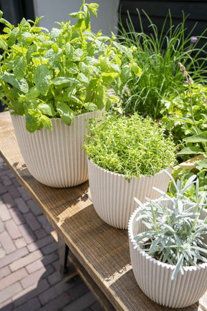 Blumentopf Kugel Groove 16,5x15 Beige