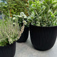 Blumentopf Kugel Groove 25x23 Schwarz, Pflanzkübel von aplanta, für drinnen & draußen