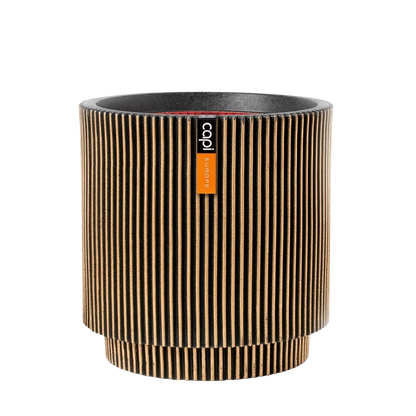 Blumentopf zylinder Groove gold, 44x46cm, Pflanzkübel von aplanta, in Schwarz-Gold, für drinnen & draußen