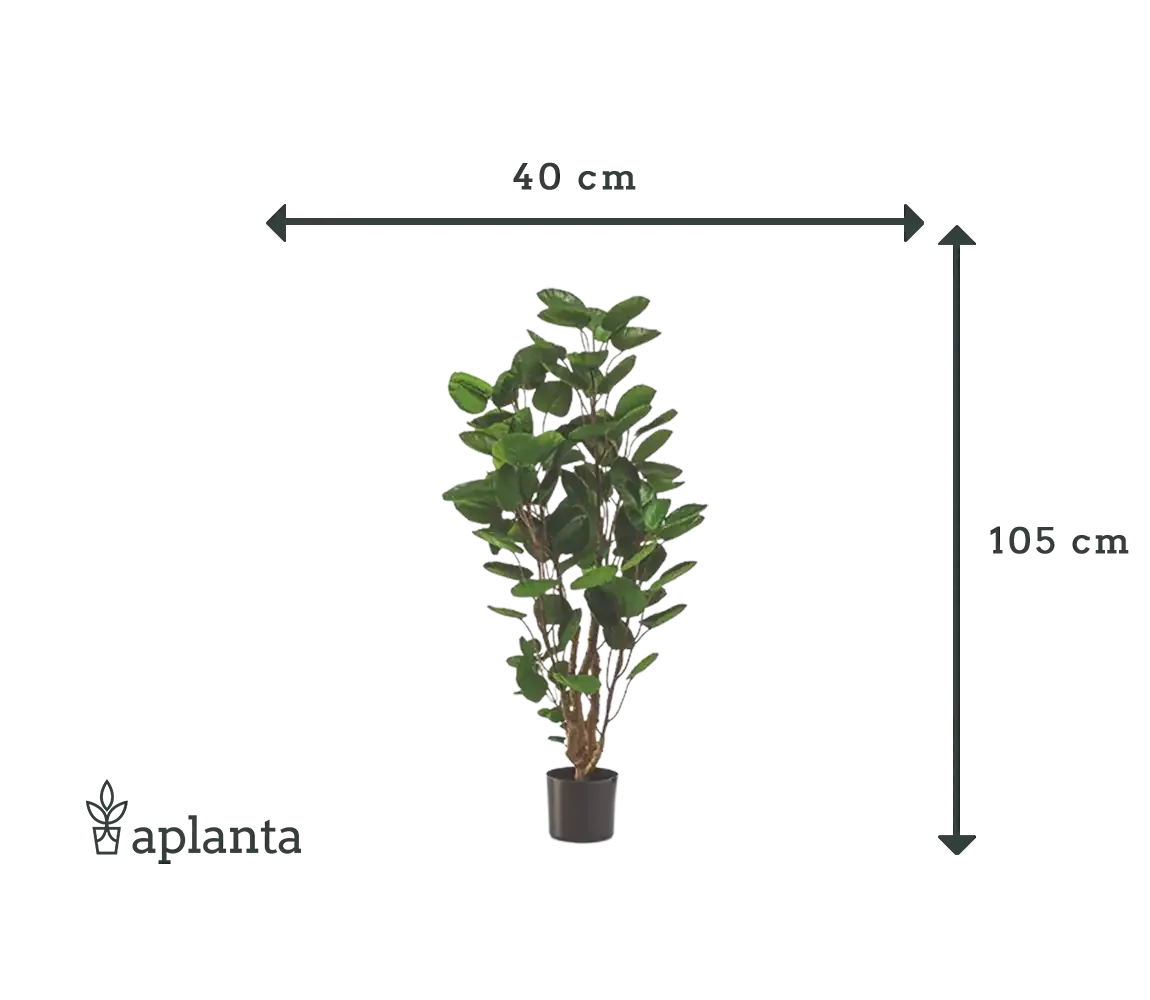 Künstliche Fiederaralie - Milan | 105 cm