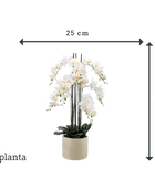 Künstliche Orchidee - Louisa | 100 cm