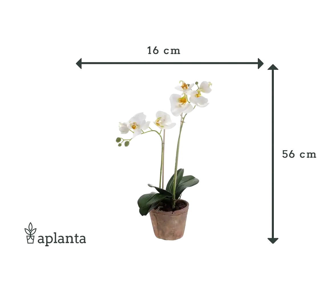 Künstliche Orchidee - Nika | 56 cm