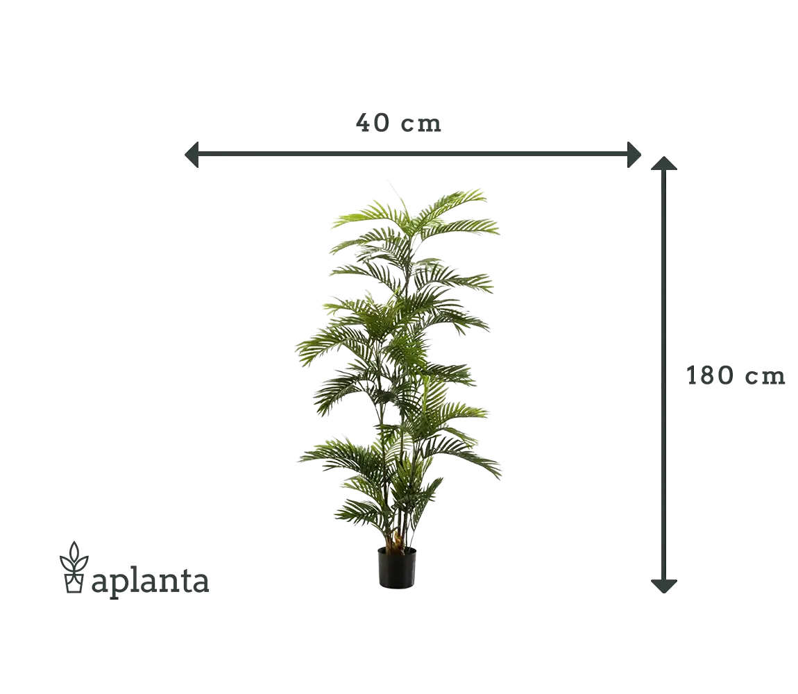 Künstliche Phoenix Palme - Kira | 180 cm