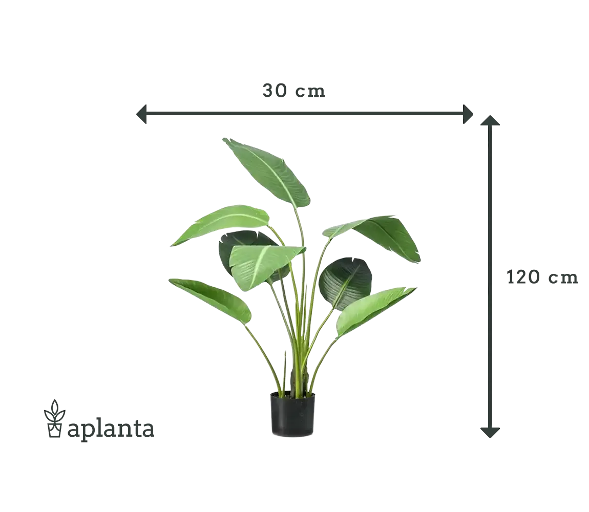 Künstliche Strelitzia - Carl | 120 cm