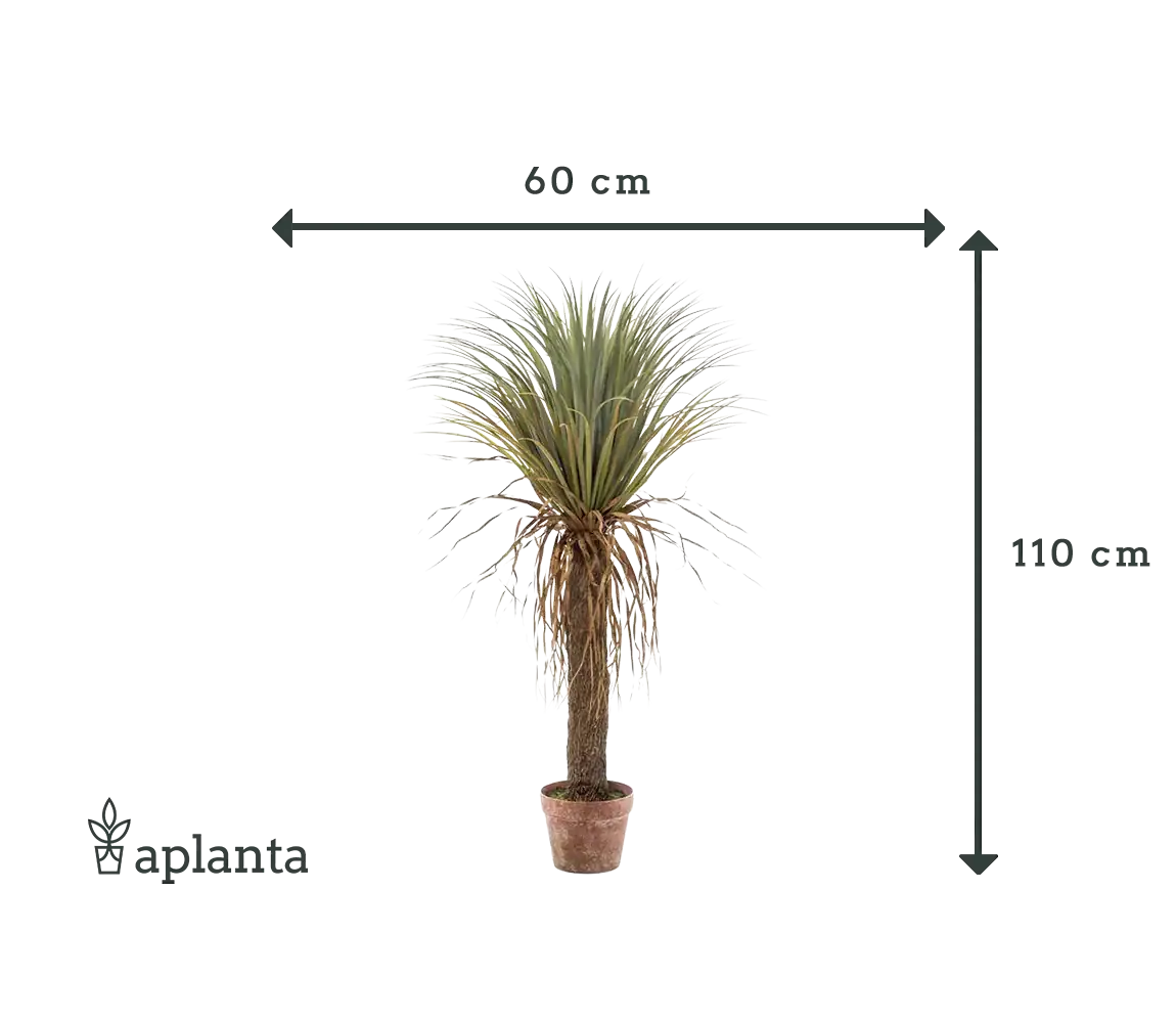 Künstliche Yucca Palme - Kristina | 110 cm