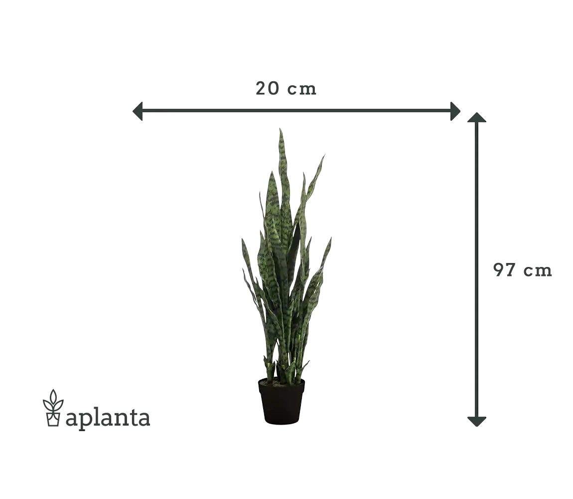 Künstlicher Bogenhanf - Jette | 97 cm