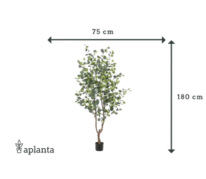 Künstlicher Eucalyptus Baum - Christopher | 180 cm