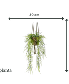 Künstlicher Hänge-Feder-Spargel - Jannis | 60 cm