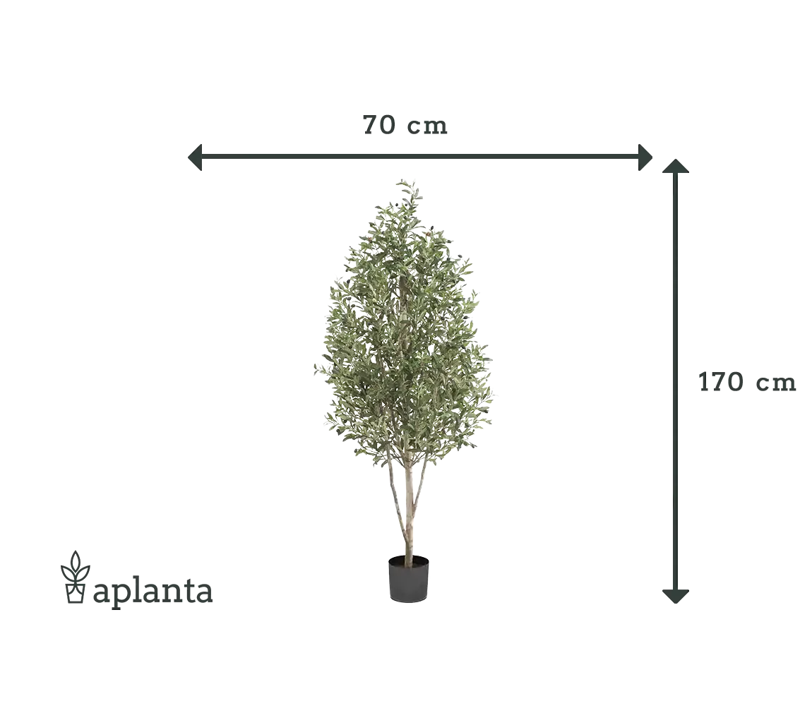 Künstlicher Olivenbaum - Cheyenne | 170 cm