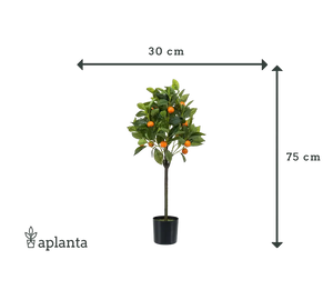 Künstlicher Orangenbaum - Julia | 75 cm