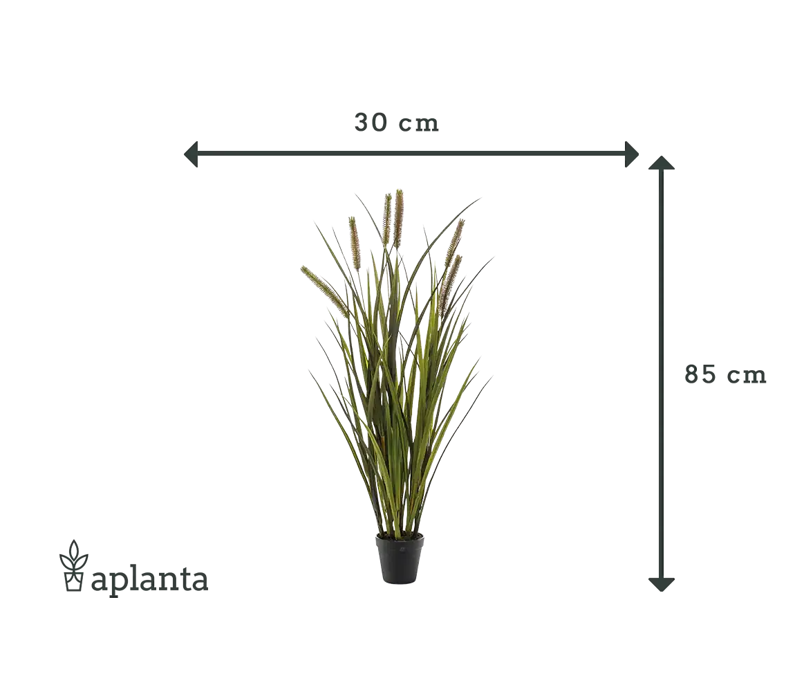 Künstliches Gras - Patrizia | 85 cm