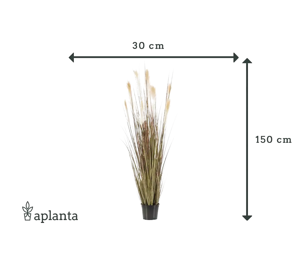 Künstliches Pampasgras - Franziska | 150 cm