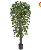 Künstlicher Ficus - Annika | 180 cm