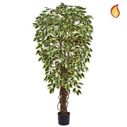 Künstlicher Ficus - Silke | 150 cm