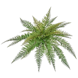 Künstlicher Farn - Sieglinde | 48 cm