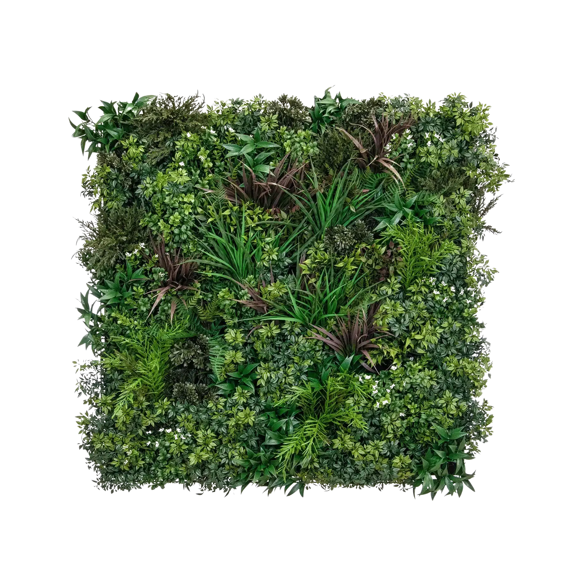 Mur de plantes artificielles - Wolfgang | 100 cm