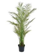 Künstliche Areca Palme - Amelie | 180 cm