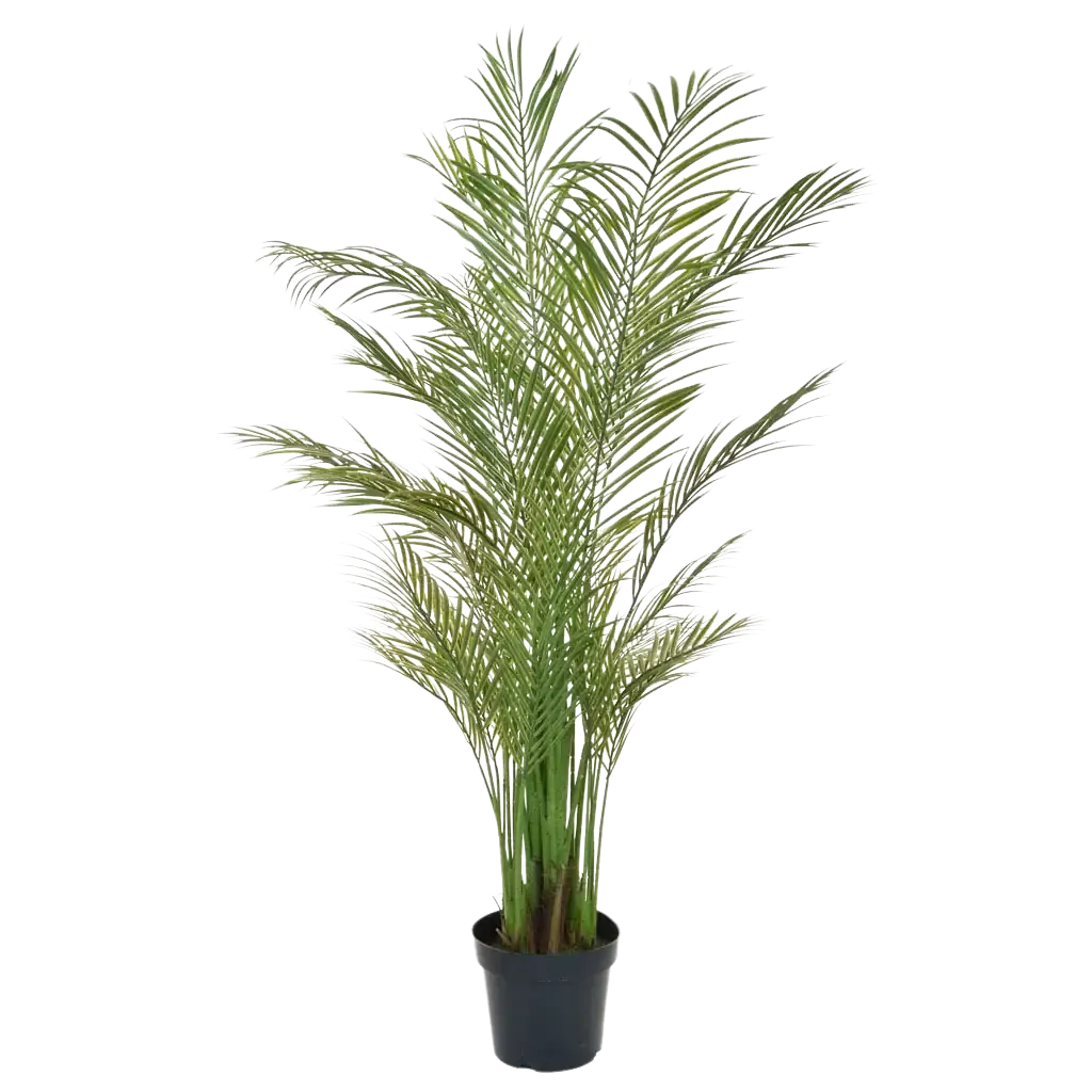 Palmier d'Areca artificiel - Amelie | 180 cm