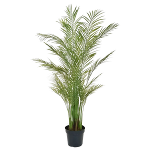 Palmier d'Areca artificiel - Amelie | 180 cm