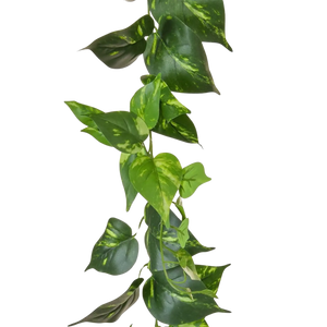 Künstliche Pothos Girlande - Christian | 220 cm