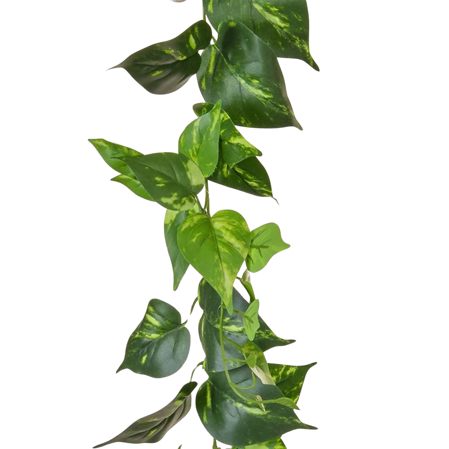 Guirlande de pothos artificiels - Christian | 220 cm