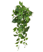 Künstlicher Pothos - Walter | 80 cm
