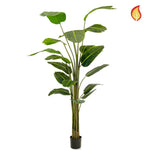Künstliche Strelitzia - Zita, 240 cm, Kunstbaum von aplanta, feuerhemmend, B1-zertifiziert, in Grün, für drinnen