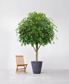 Künstlicher Ficus - Angela | 300 cm