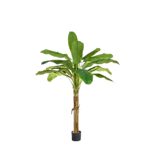 Künstlicher Bananenbaum - Harald | 105 cm