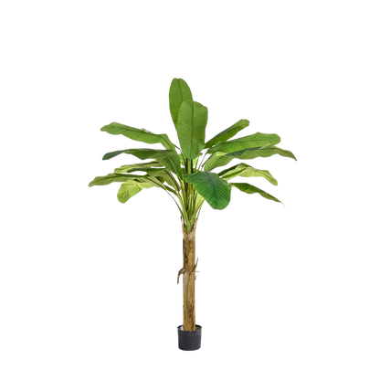 Künstlicher Bananenbaum - Harald, 105 cm, Kunstbaum von aplanta, feuerhemmend, B1-zertifiziert, in Grün, für drinnen