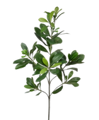 Künstlicher Pittosporum - Regina | 56 cm