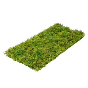 Tapis de mousse artificiel - Aloisia | 25 cm