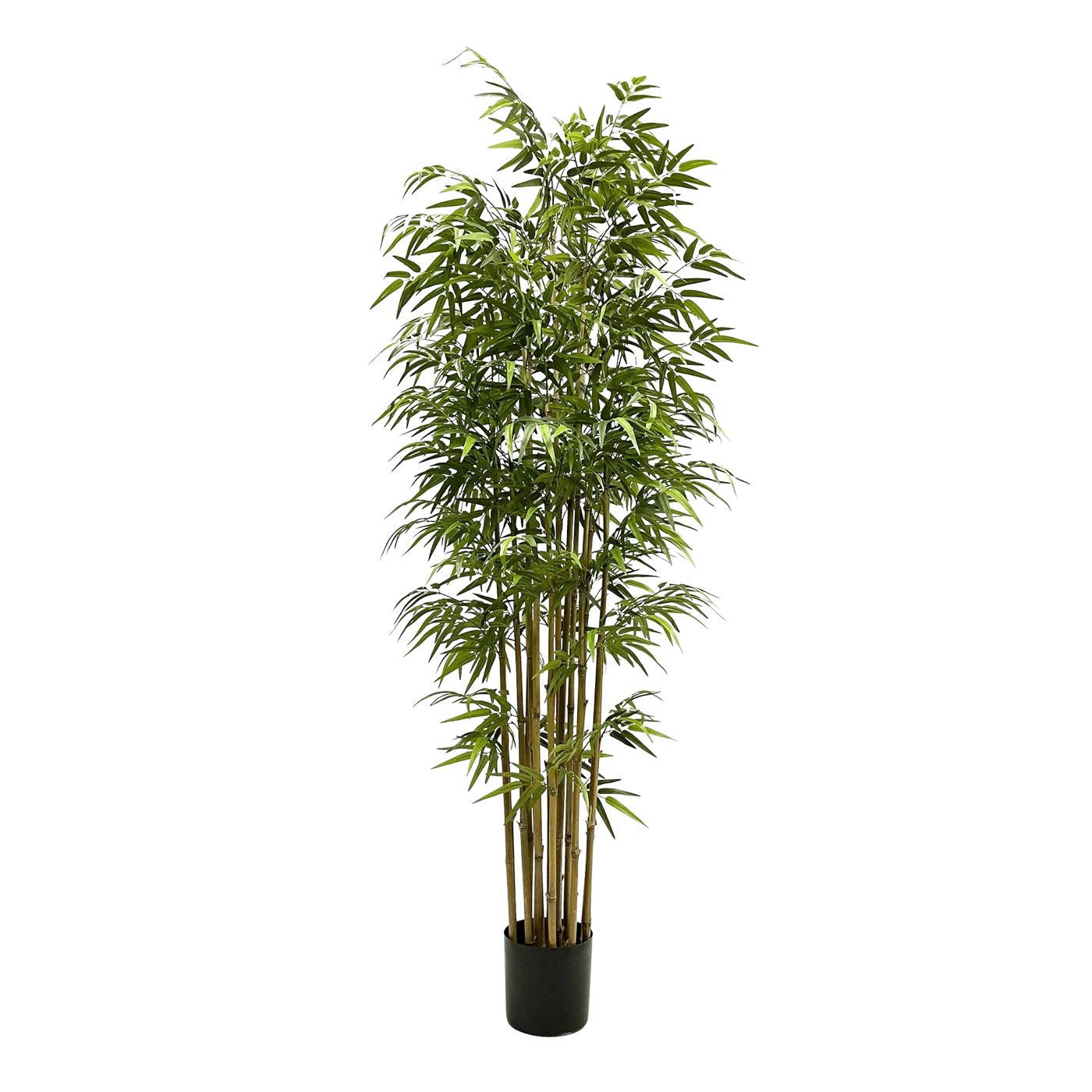 Künstlicher Bambus - Belina | 210 cm