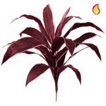 Künstliche Cordyline - Andrea, 62 cm, Kunstpflanze von aplanta, feuerhemmend, B1-zertifiziert, Steckpflanze, in Rot