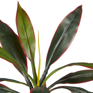 Künstliche Cordyline - Monti | 40 cm