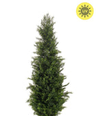 Cèdre vert artificiel - Nathalie | 120 cm