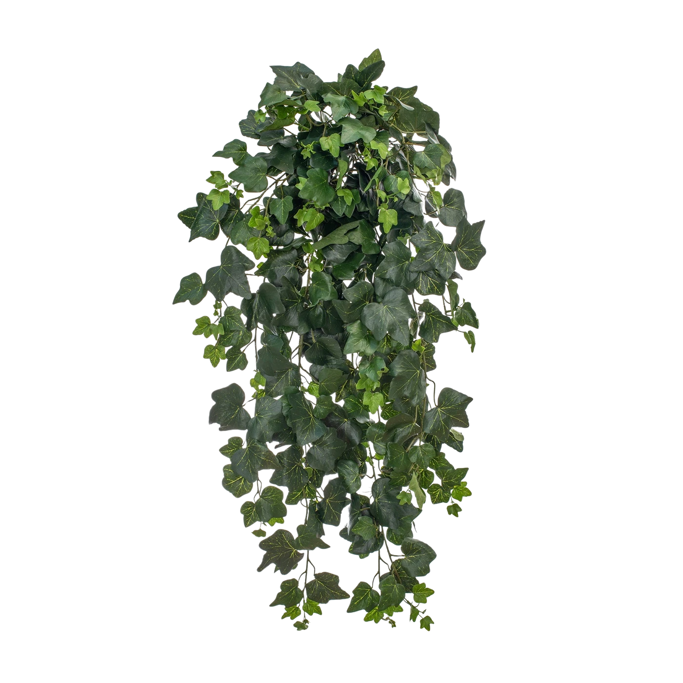 Künstlicher Hänge-Efeu - Tien | 75 cm