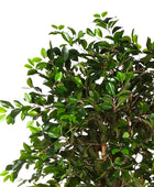 Ficus chinois artificiel - Konstantin | 180 cm