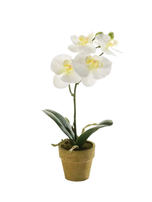 Künstliche Orchidee - Louisa auf transparentem Hintergrund mit echt wirkenden Kunstblättern. Diese Kunstpflanze gehört zur Gattung/Familie der "Orchideen" bzw. "Kunst-Orchideen".