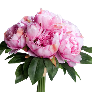 Künstliche Pfingstrose - Franzi auf transparentem Hintergrund mit echt wirkenden Kunstblättern in natürlicher Anordnung. Künstliche Pfingstrose - Franzi hat die Farbe rosa und ist 30 cm hoch. | aplanta Kunstpflanzen