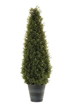 Künstliche Buchsbaumpyramide - Lucy auf transparentem Hintergrund mit echt wirkenden Kunstblättern. Diese Kunstpflanze gehört zur Gattung/Familie der "Buchsbäume" bzw. "Kunst-Buchsbäume".
