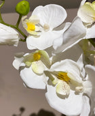 Künstliche Orchidee - Nika | 56 cm | Kunstblume von aplanta
