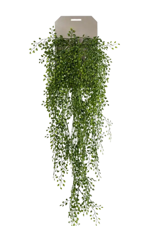Künstlicher Hänge-Jasmin - Levin auf transparentem Hintergrund mit echt wirkenden Kunstblättern. Diese Kunstpflanze gehört zur Gattung/Familie der "Jasmin" bzw. "Kunst-Jasmin".